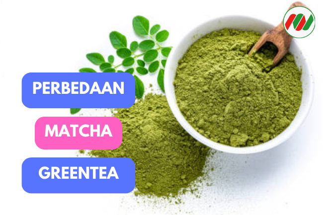 Matcha vs Green Tea: Perbedaan dalam Rasa dan Cara Penyajian